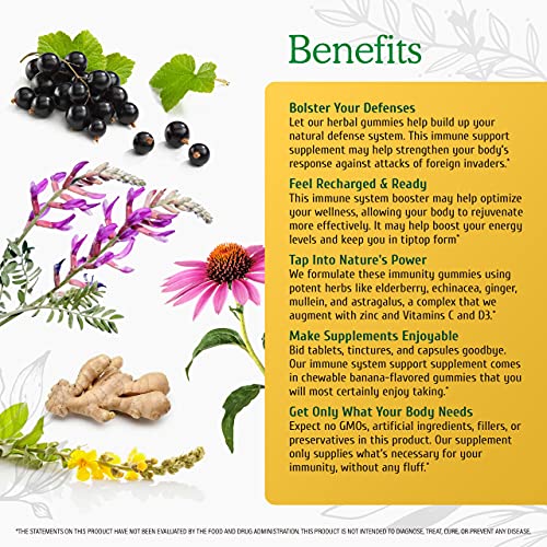 Wild & Organic Immune Support Gummies - Immune Support Supplement...