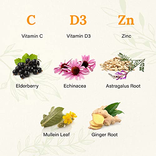 Wild & Organic Immune Support Gummies - Immune Support Supplement...