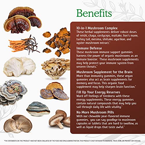 Wild & Organic Mushroom Gummies - Reishi, Chaga, Cordyceps, Maita...