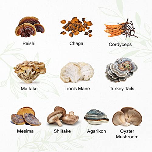Wild & Organic Mushroom Gummies - Reishi, Chaga, Cordyceps, Maita...