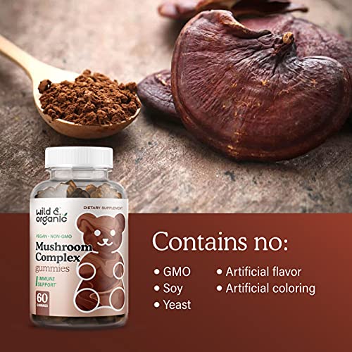 Wild & Organic Mushroom Gummies - Reishi, Chaga, Cordyceps, Maita...