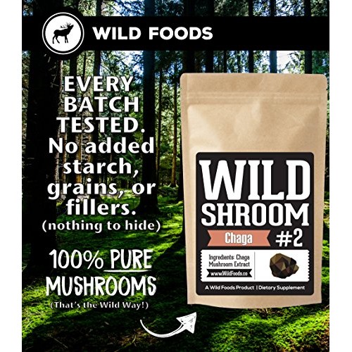 Wild Chaga Mushroom Extract Powder - Daily Immune System Support ...