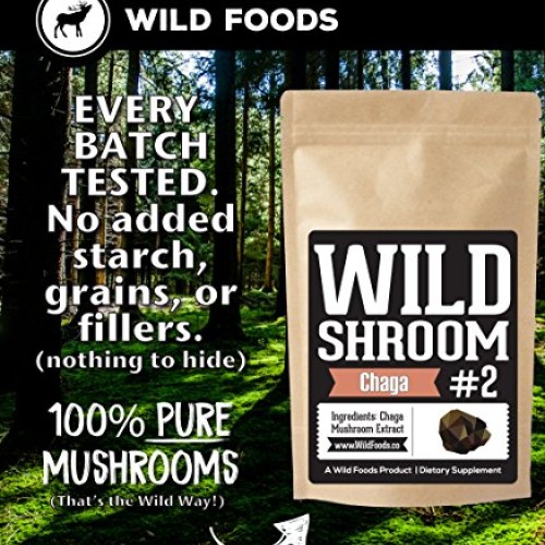 Wild Chaga Mushroom Extract Powder - Daily Immune System Support ...