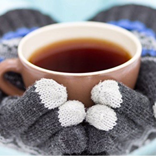 Wild Chaga Mushroom Extract Powder - Daily Immune System Support ...