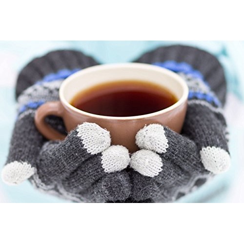 Wild Chaga Mushroom Extract Powder - Daily Immune System Support ...
