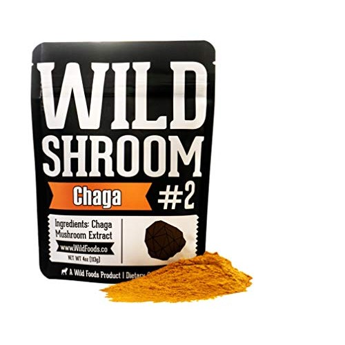 Wild Chaga Mushroom Extract Powder - Daily Immune System Support ...