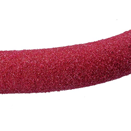 Bird Paw Grinding Stick Perch Stand Toy for Parrot Cockatiel Para...
