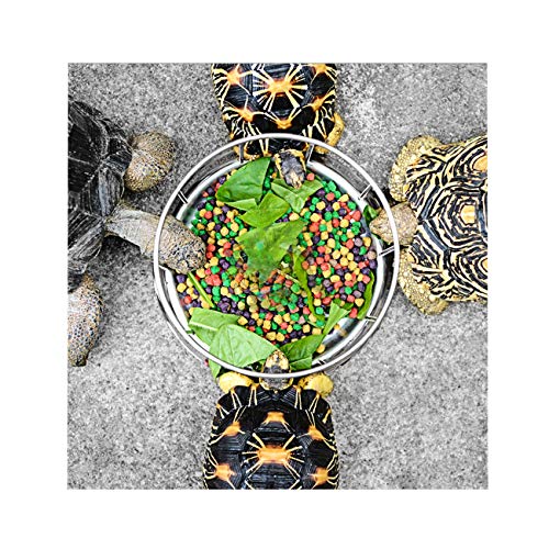 Wontee Tortoise Food Water Dish Feeder Bowl Stainless Steel Tray ...