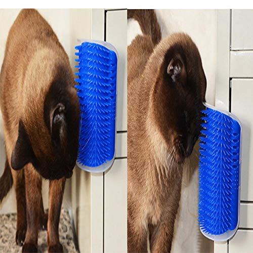 XTBB Pet Toy Pet Brush Comb Cat Toy Plastic Scratch Bristles Arch...