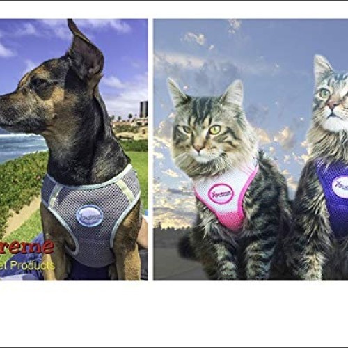 Xtreme Pet Products Comfort Harness Large 10-14lbs, Pink