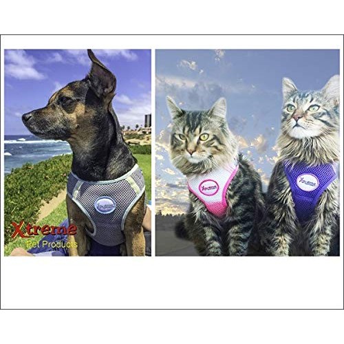 Xtreme Pet Products Comfort Harness Large 10-14lbs, Pink