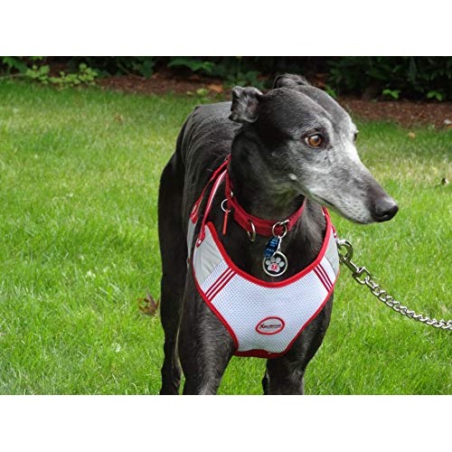 Xtreme Pet Products Comfort Harness Large 10-14lbs, Pink