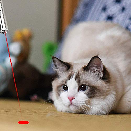 Toys to Keep Cat Busy, Indoor and Outdoor Kitten，Pack of 2