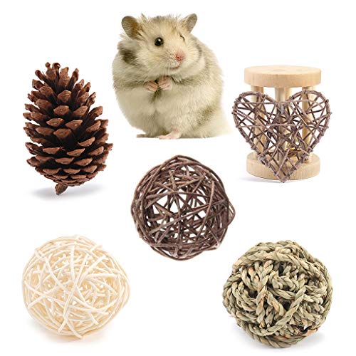 Youngy Small Animal Activity Toy,Pets Play Chew Toys for Bunny Ra...