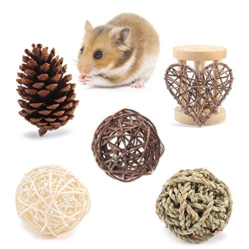 Youngy Small Animal Activity Toy,Pets Play Chew Toys for Bunny Ra...