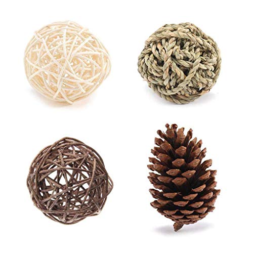 Youngy Small Animal Activity Toy,Pets Play Chew Toys for Bunny Ra...