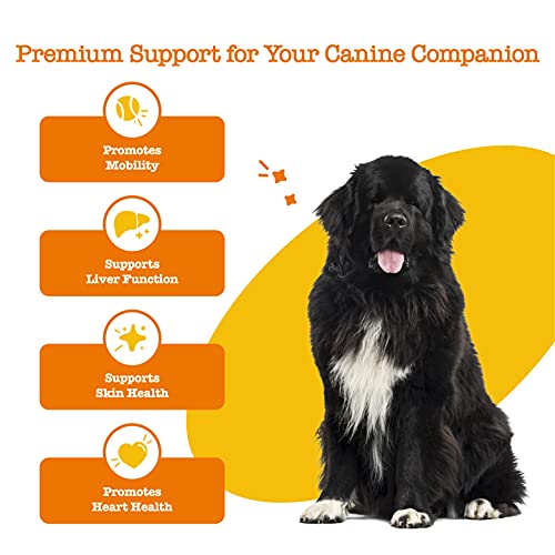 Turmeric Curcumin for Dogs - with 95% Curcuminoids for Hip & Join...