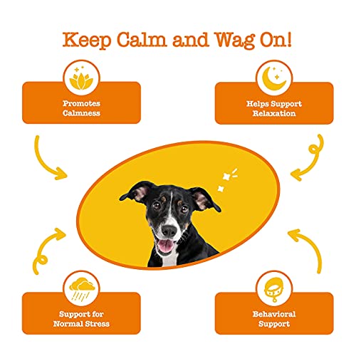 Zesty Paws Dog Calming Bites - Stress Relief Support Supplement H...