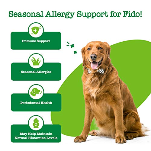 Zesty Paws OraStix for Dogs - Aller-Immune Sticks with Hemp Seed ...