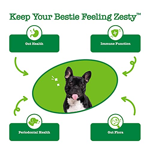 Zesty Paws Probiotic OraStix for Dogs - Dental Sticks with Hemp S...