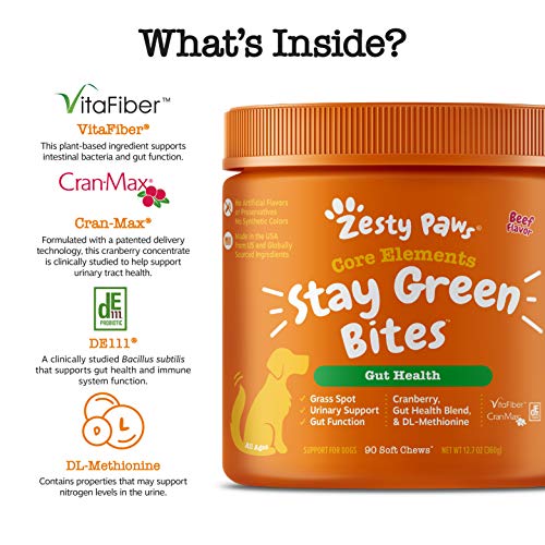 Zesty Paws Stay Green Bites for Dogs - Grass Burn Soft Chews for ...