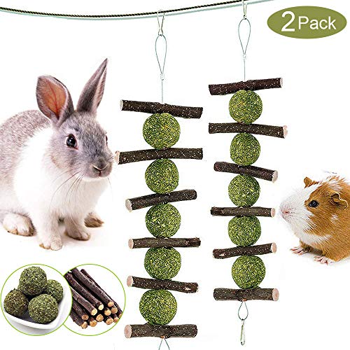 ZOESOE Bunny Chew Toys for Teeth, Bunny Food, Natural Organic App...