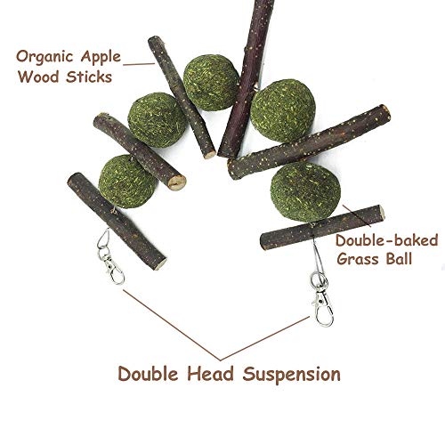 ZOESOE Bunny Chew Toys for Teeth, Bunny Food, Natural Organic App...