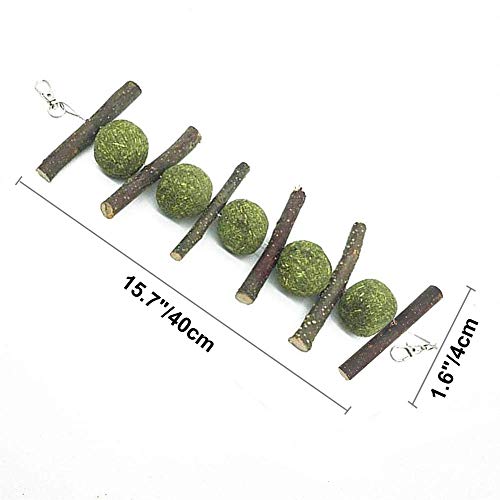 ZOESOE Bunny Chew Toys for Teeth, Bunny Food, Natural Organic App...