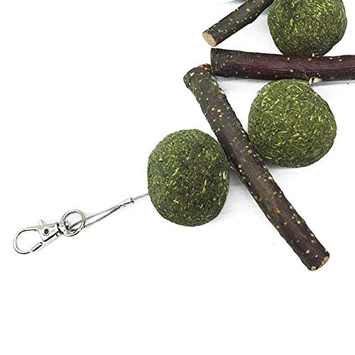 ZOESOE Bunny Chew Toys for Teeth, Bunny Food, Natural Organic App...