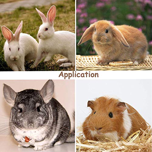 ZOESOE Bunny Chew Toys for Teeth, Bunny Food, Natural Organic App...