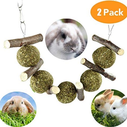 ZOESOE Bunny Chew Toys for Teeth, Bunny Food, Natural Organic App...