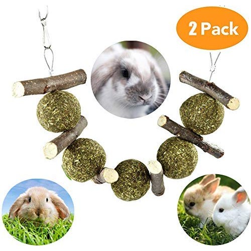 ZOESOE Bunny Chew Toys for Teeth, Bunny Food, Natural Organic App...