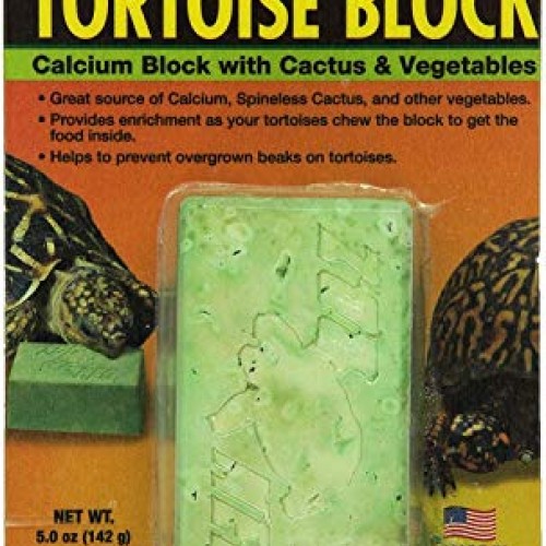 Zml Feeder Banquet Tortoise Pack of 1