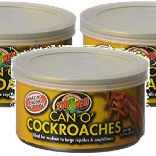 Zoo Med 3 Pack of Can O Cockroaches, 1.2 Ounces Each