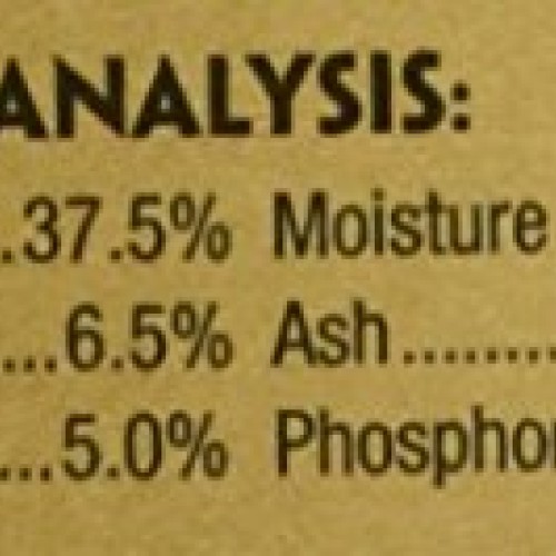 Zoo Med Gourmet Aquatic Turtle Food, 6-Ounce