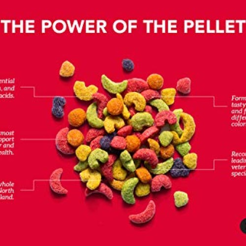 ZuPreem FruitBlend Flavor Pellets Bird Food for Medium Birds, 2 l...