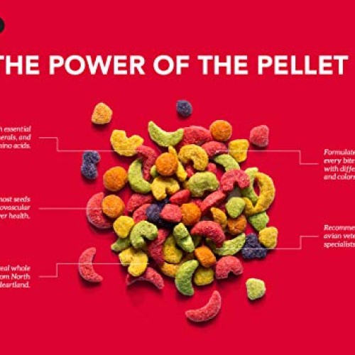 ZuPreem FruitBlend Flavor Pellets Bird Food for Parrots and Conur...