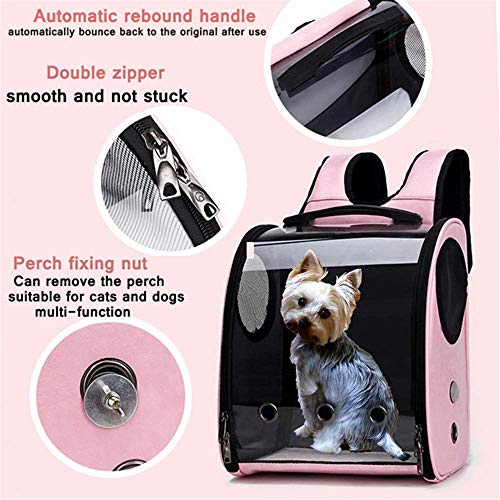 Bird Carrier Clear Parrot Outing Backpack APET Transparent Acryli...