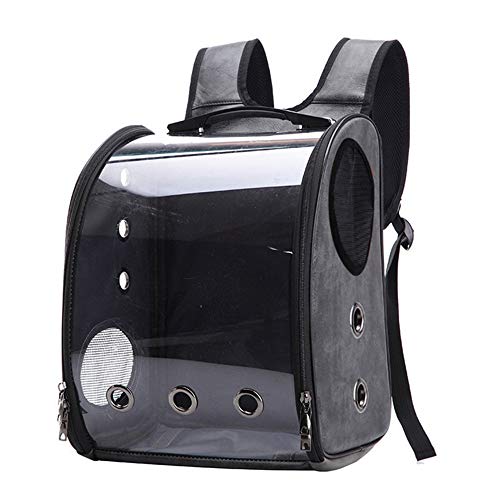 Bird Carrier Clear Parrot Outing Backpack APET Transparent Acryli...