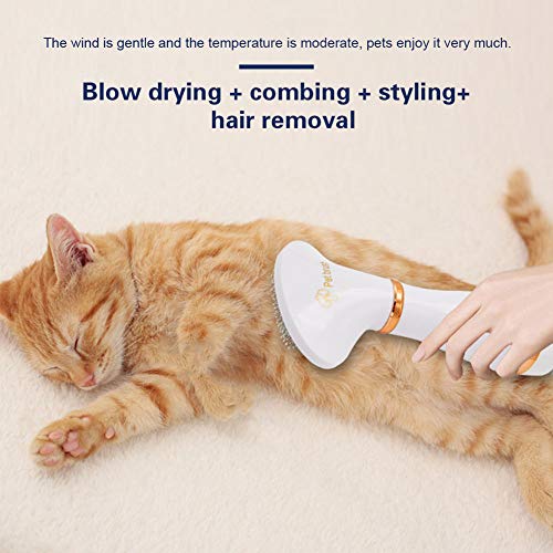zxbaers Pet Hair Dryer,Portable and Quiet 2 in 1 Pet Grooming Hai...